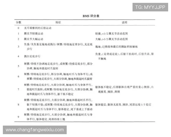 北京足球队在挑战赛中的速度表现分析与点评 北京足球队在挑战赛中的速度表现分析与点评