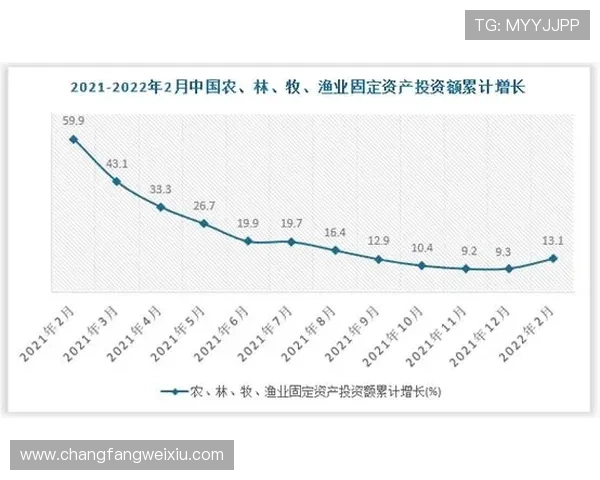 探索西安羽毛球队的转型之路与深度发展策略分析 探索西安羽毛球队的转型之路与深度发展策略分析