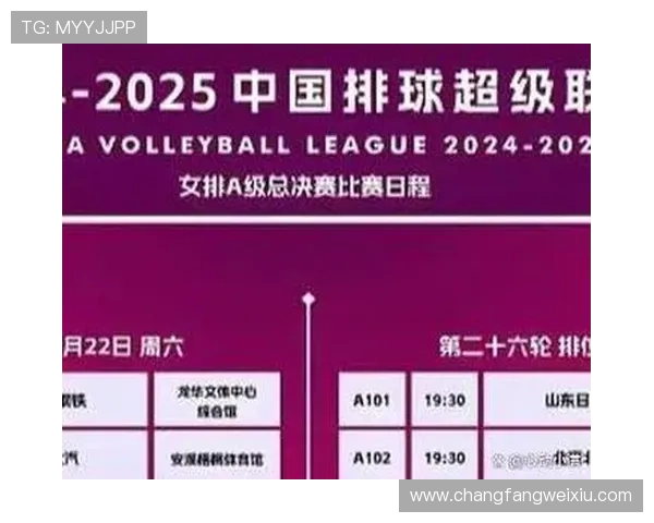 科学排球训练指南：提升耐力的有效方法与技巧分享