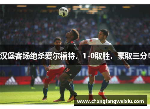汉堡客场绝杀爱尔福特，1-0取胜，豪取三分！