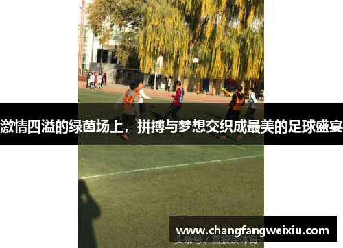 激情四溢的绿茵场上，拼搏与梦想交织成最美的足球盛宴